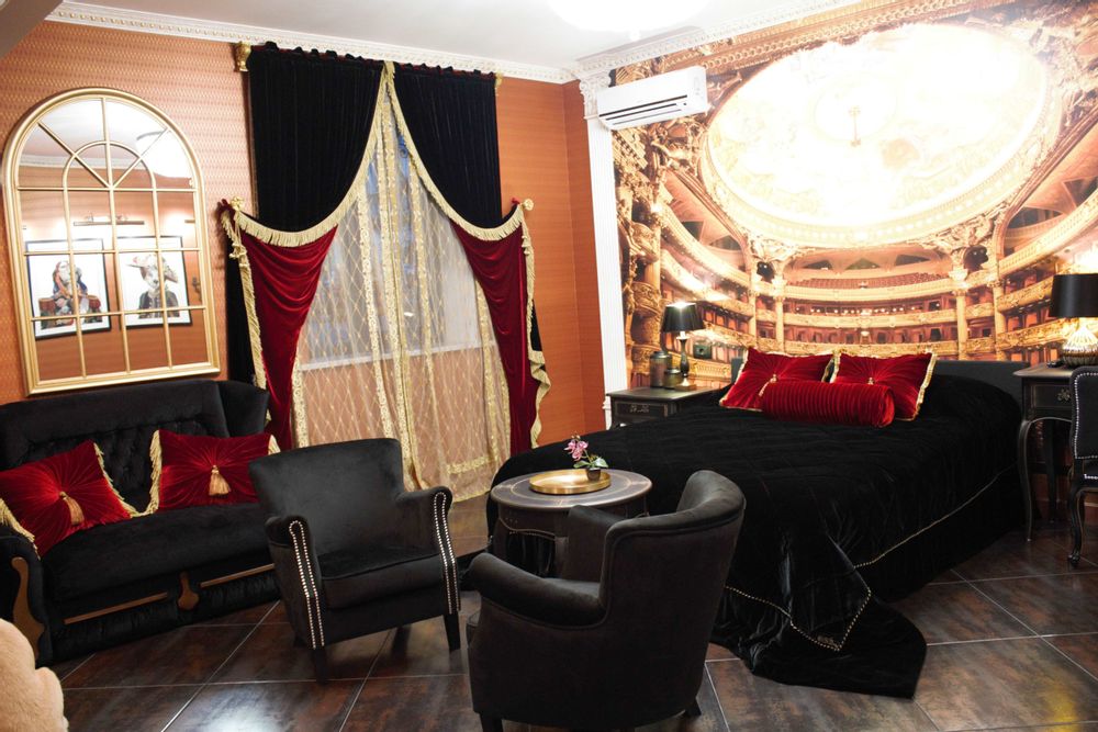 Curtains and window coverings - Velvet curtains for rent apartments - VLADA DIZIK KOSHKIN DOM