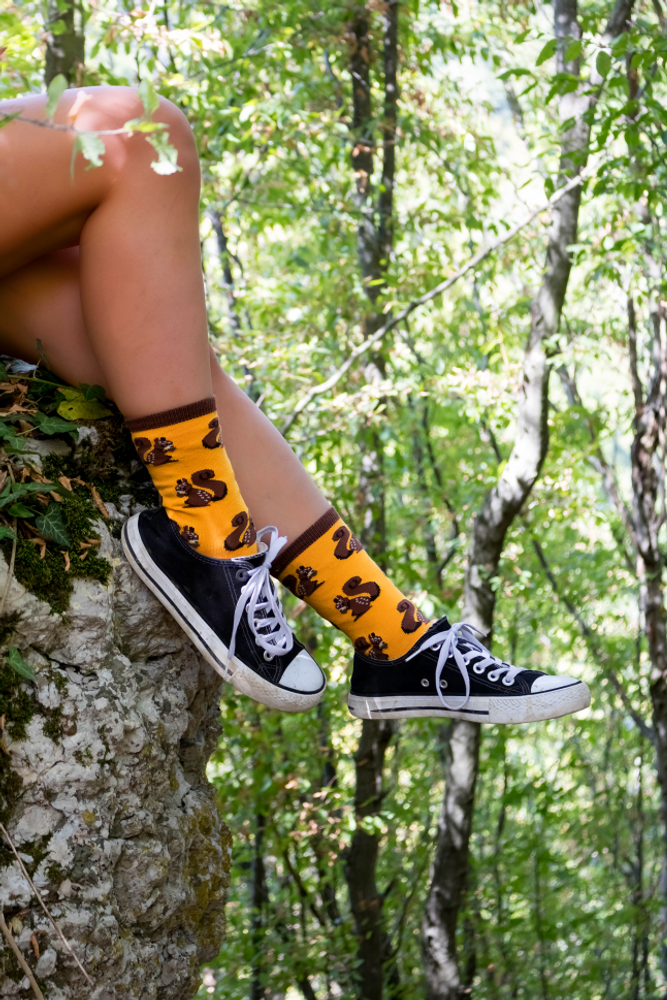 Chaussettes - Chaussettes en coton L'Automne - PIRIN HILL