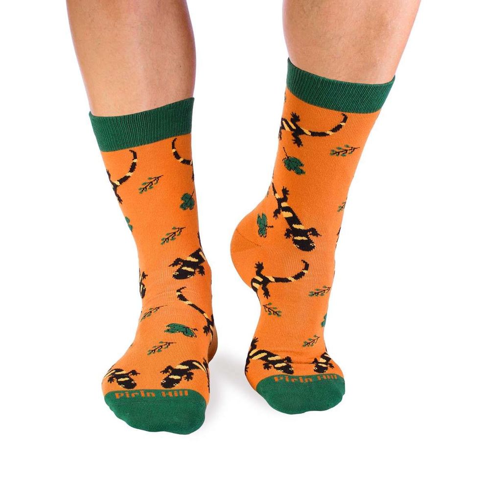 Chaussettes - Chaussettes en coton Fôret - PIRIN HILL