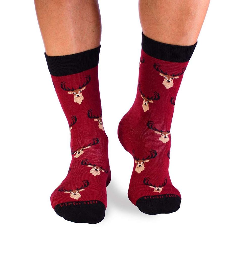 Chaussettes - Chaussettes en coton Fôret - PIRIN HILL