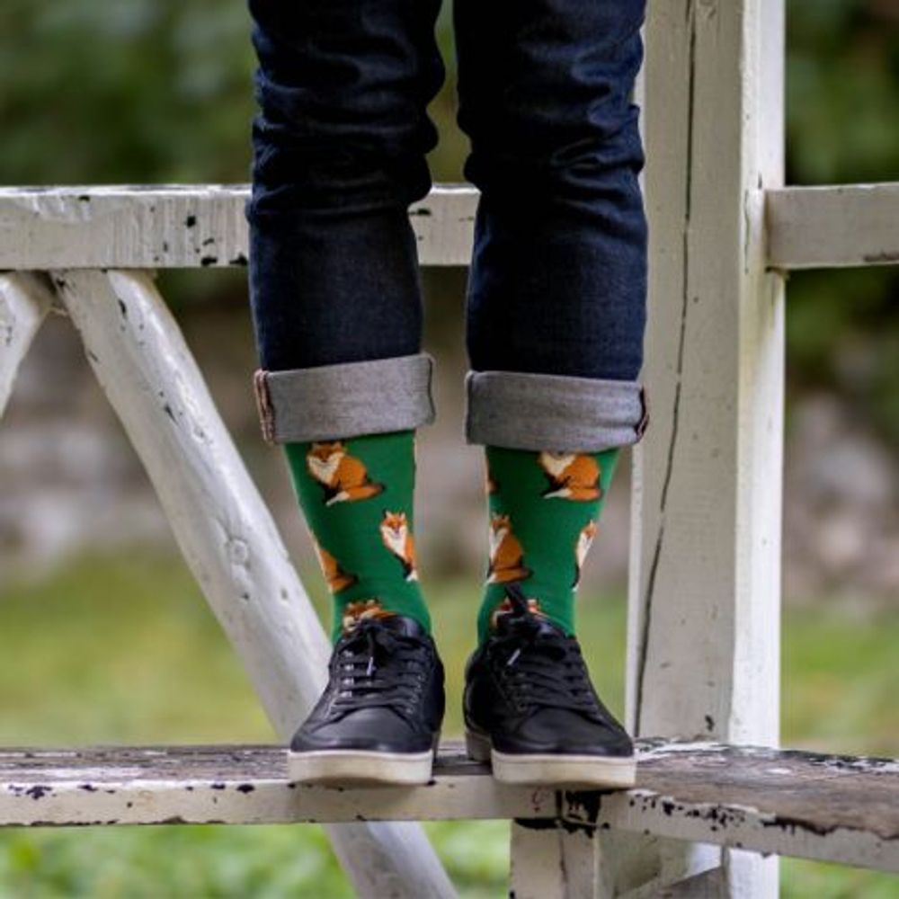 Chaussettes - Chaussettes en coton Fôret - PIRIN HILL