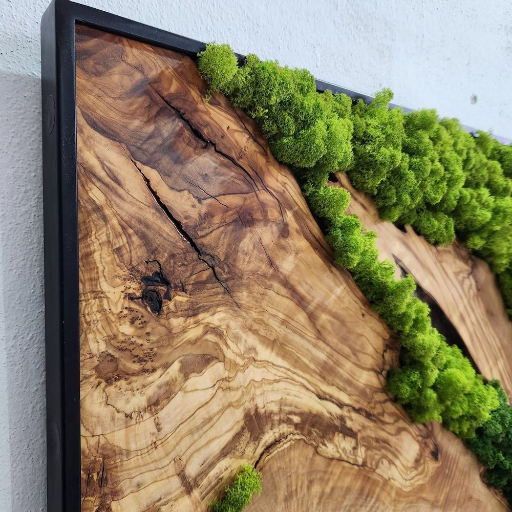 Other wall decoration - "Custom Made Moss and Olive Wood Wall Art: Premium Handcrafted Sculptures" 100CMX100CM - ARTDESIGNA