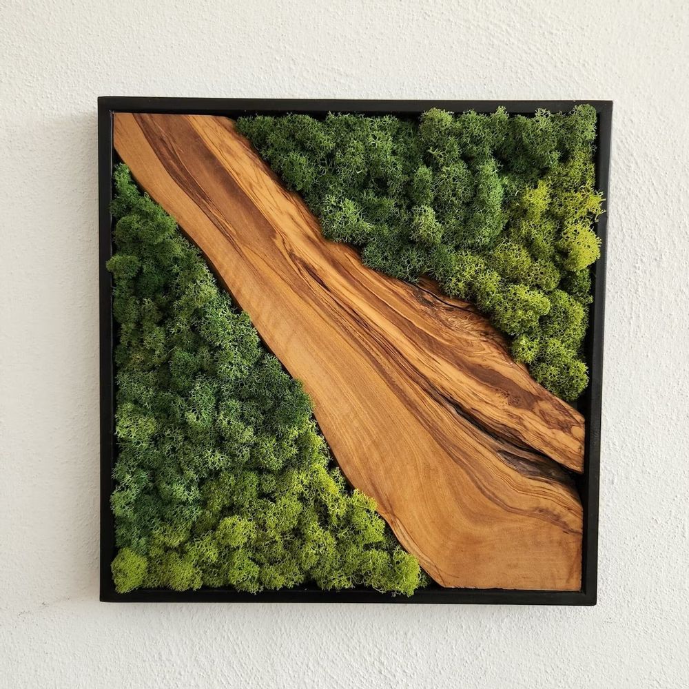 Other wall decoration - "Custom Made Moss and Olive Wood Wall Art: Premium Handcrafted Sculptures" 100CMX100CM - ARTDESIGNA