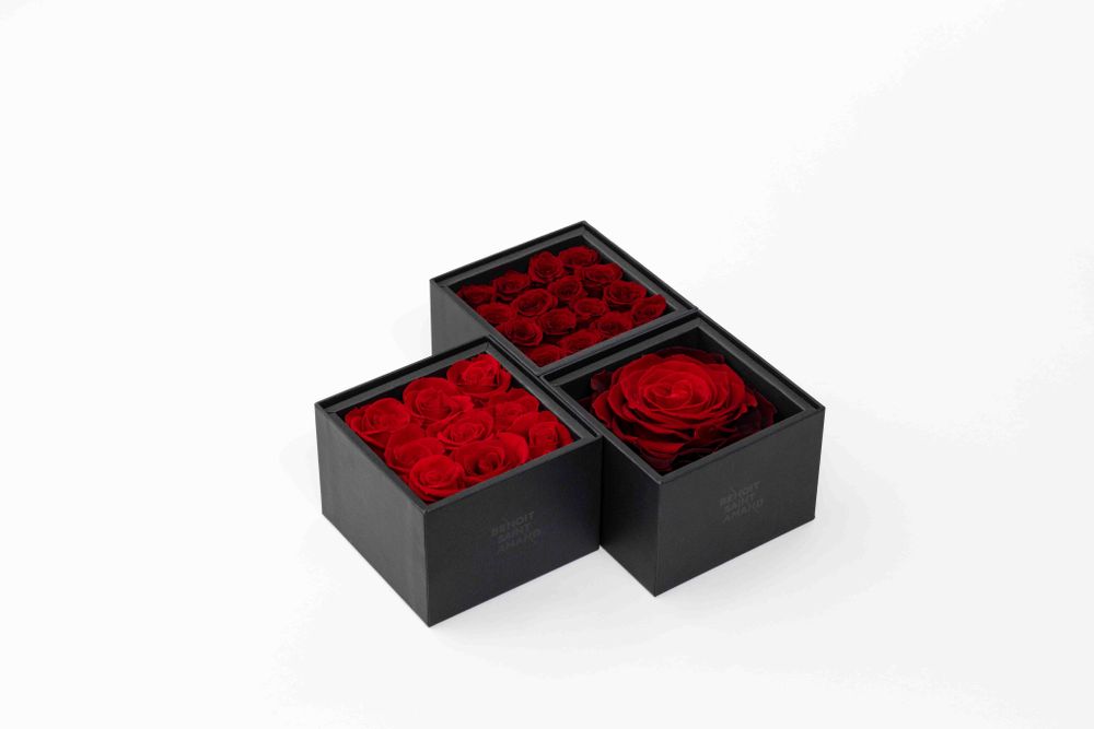 Décorations florales - Un secret - My love - 1 rose rouge éternelle XXL - Taille M - BENOIT SAINT AMAND