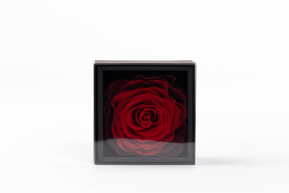 Décorations florales - Un secret - My love - 1 rose rouge éternelle XXL - Taille M - BENOIT SAINT AMAND