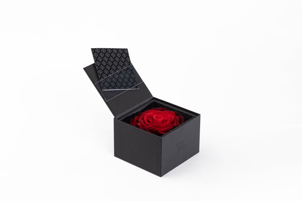 Décorations florales - Un secret - My love - 1 rose rouge éternelle XXL - Taille M - BENOIT SAINT AMAND