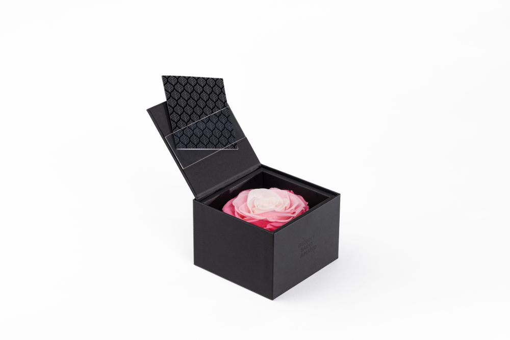 Floral decoration - A secret - My beauty - 1 eternal rose XXL pastel pink - BENOIT SAINT AMAND