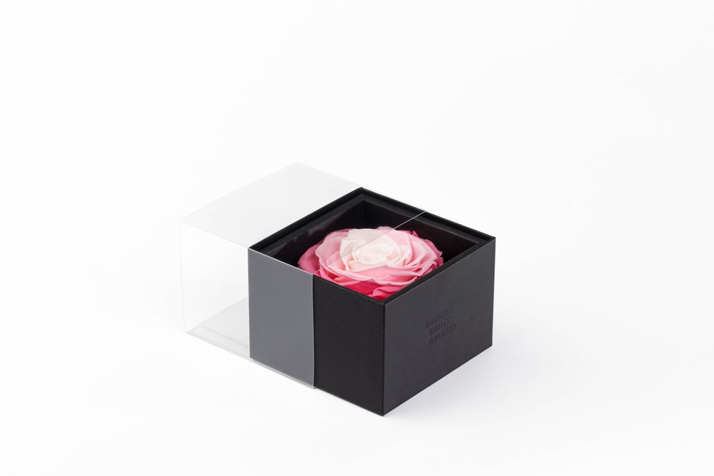 Floral decoration - A secret - My beauty - 1 eternal rose XXL pastel pink - BENOIT SAINT AMAND