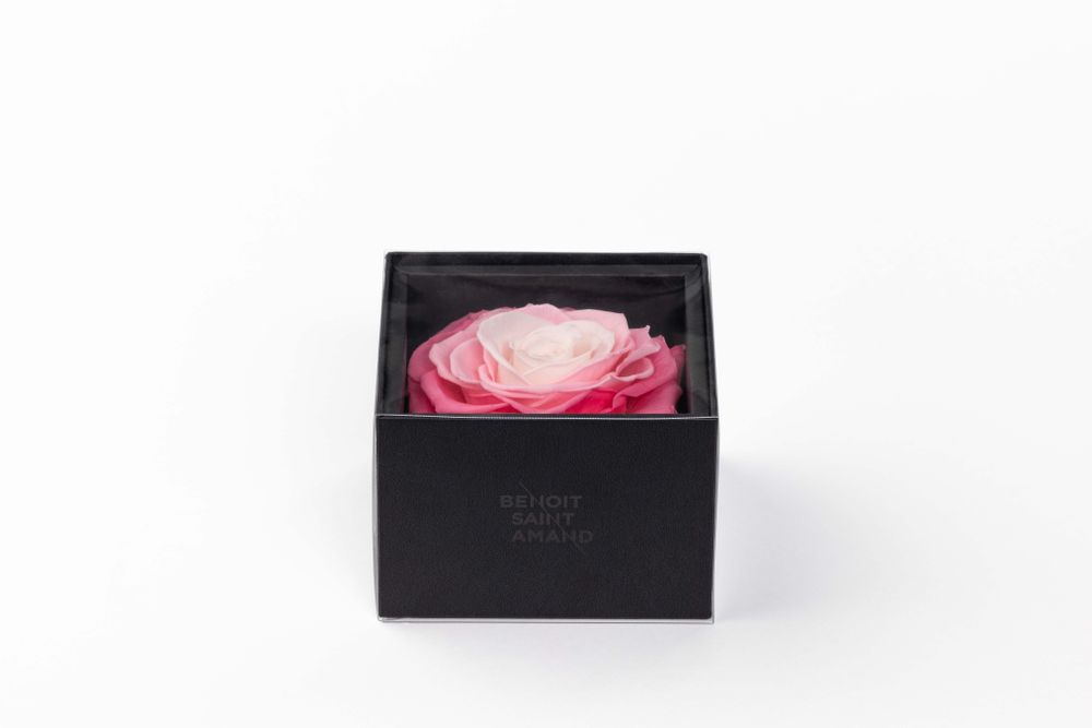 Floral decoration - A secret - My beauty - 1 eternal rose XXL pastel pink - BENOIT SAINT AMAND