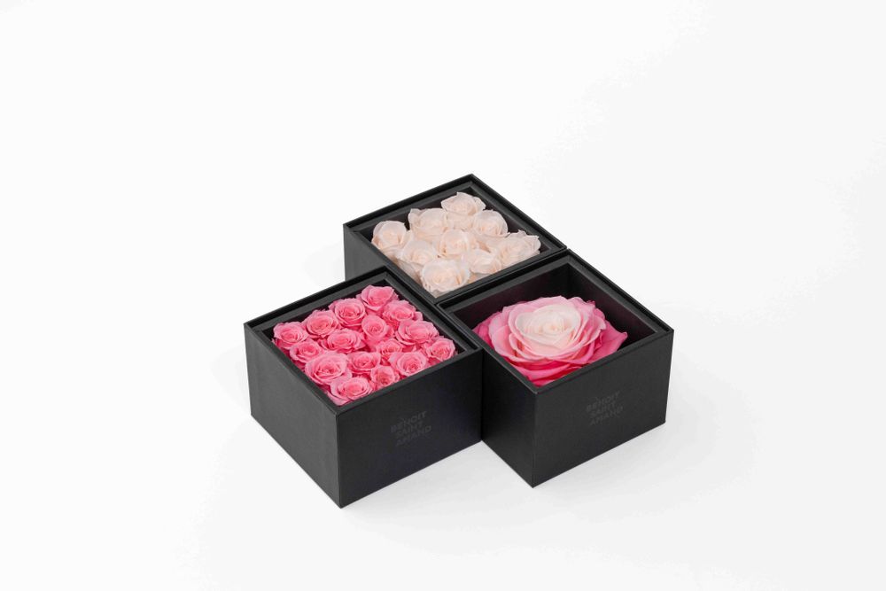 Floral decoration - A secret - My beauty - 16 pink eternal roses Size M - BENOIT SAINT AMAND