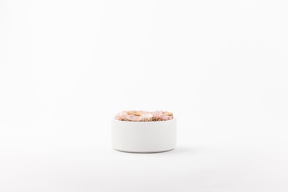 Floral decoration - The small garden - Grace - round white box size M - BENOIT SAINT AMAND