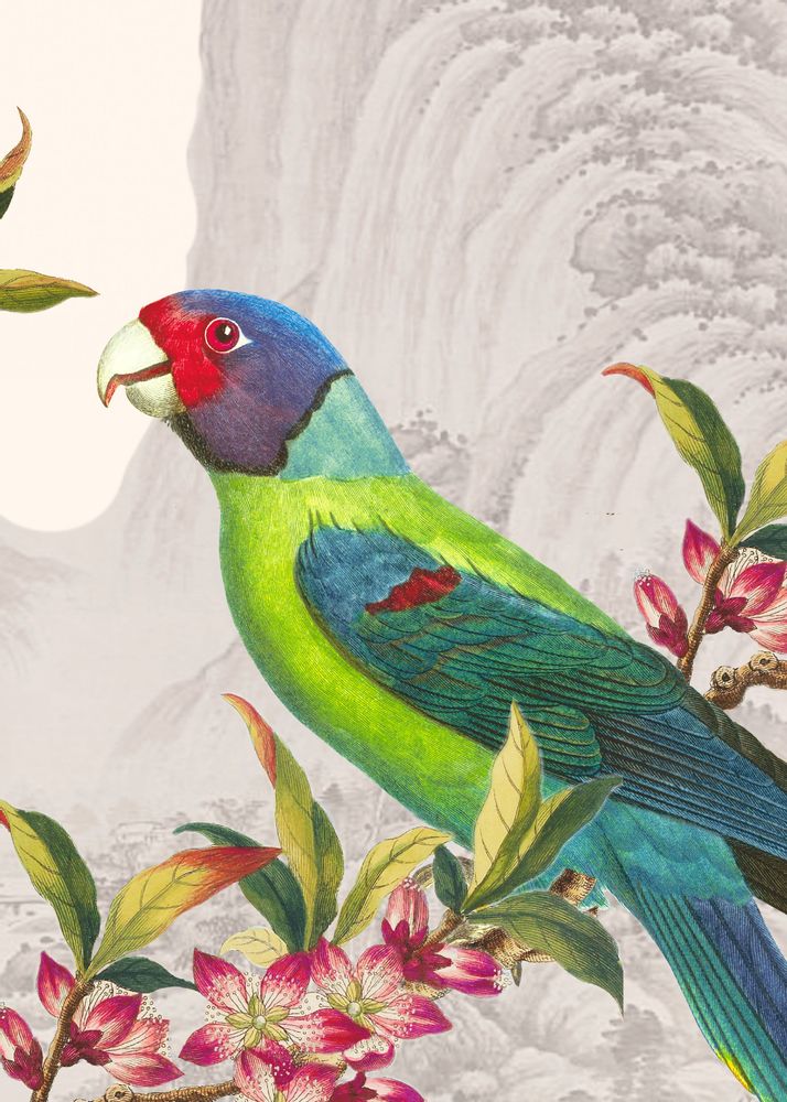Autres décorations murales - Illustration Rêve d'Asie - PARADISIO IMAGINARIUM