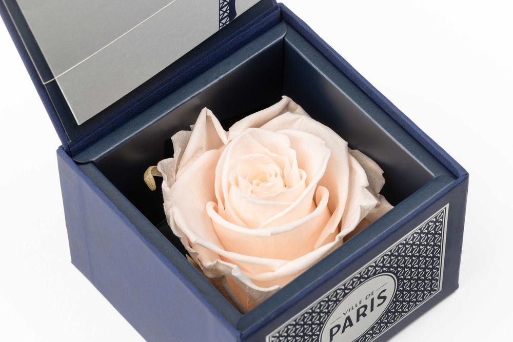 Gifts - \" A flower\” - Ville de Paris by Benoit Saint Amand Size S - pink - BENOIT SAINT AMAND