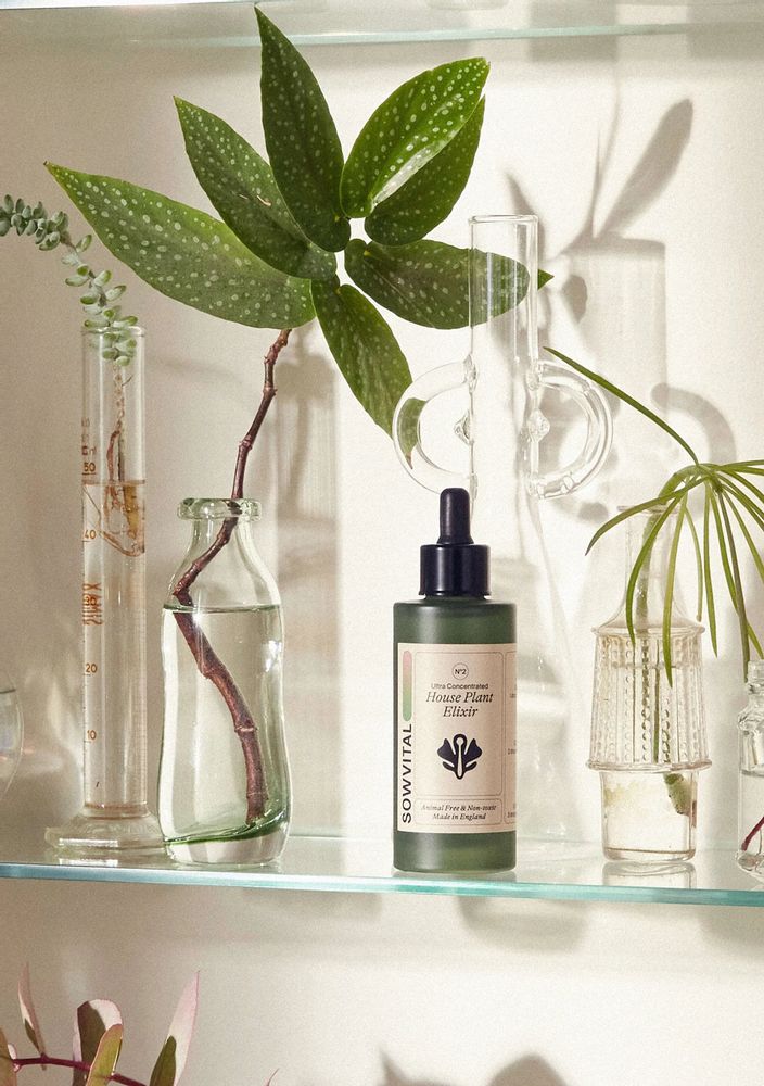 Accessoires de jardinage - Élixir pour plantes d'intérieur - 100 ml - SOWVITAL