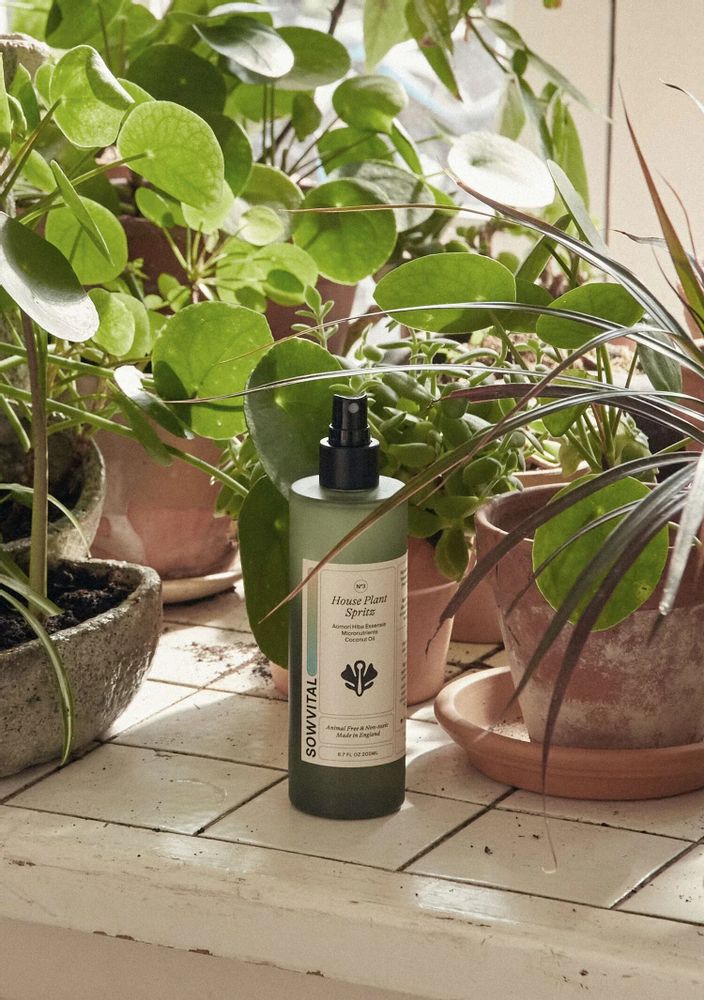 Home fragrances - Indoor plant spray - SOWVITAL