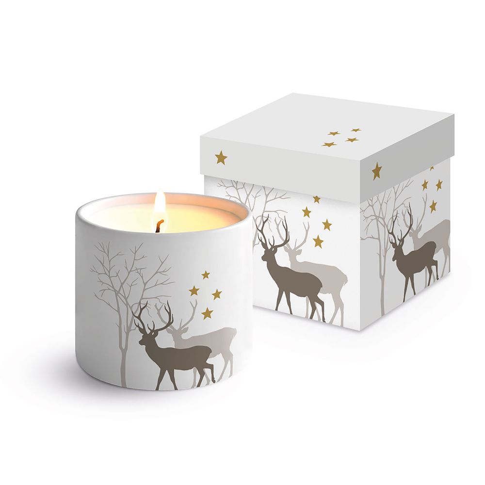 Objets de décoration - Fine Bone China Candles - PPD PAPERPRODUCTS DESIGN GMBH