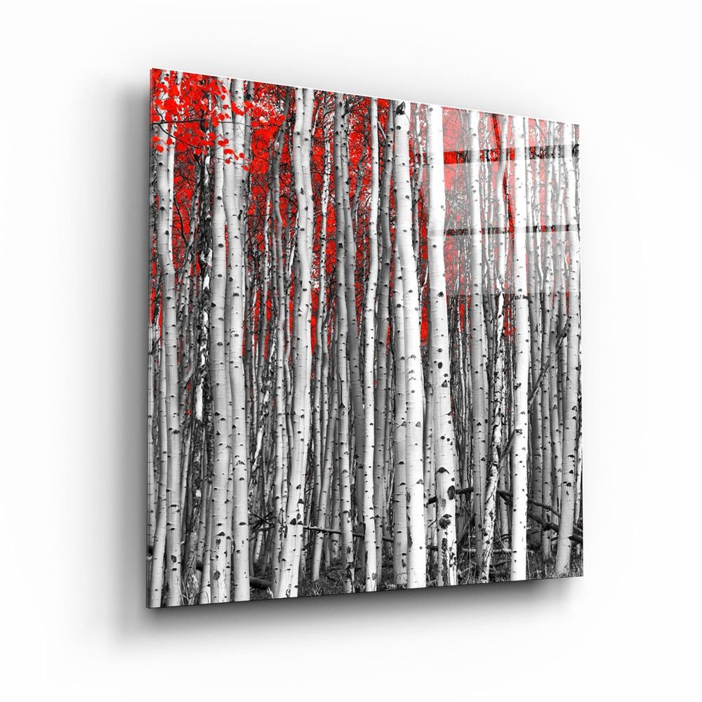 Other wall decoration - ・"Red Bicycle"・Glass Wall Art | Artdesigna Glass Printing Wall Arts. - ARTDESIGNA