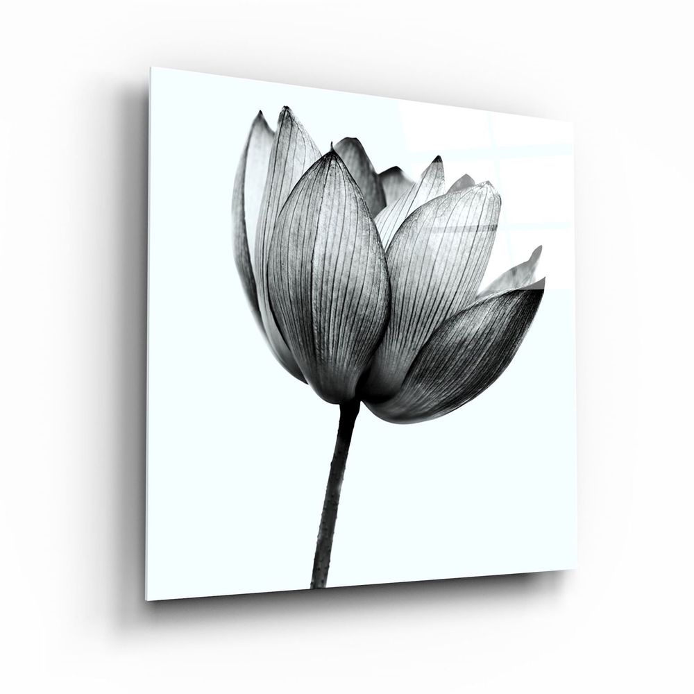 Other wall decoration - ・"Flower"・Glass Wall Art | Artdesigna Glass Printing Wall Arts. - ARTDESIGNA