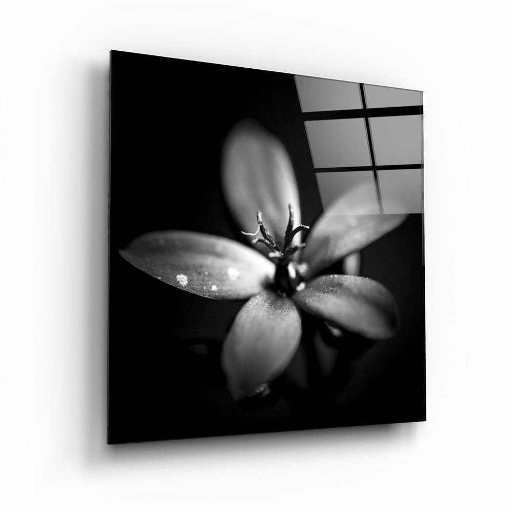 Other wall decoration - ・"Tiger"・Glass Wall Art | Artdesigna Glass Printing Wall Arts. - ARTDESIGNA