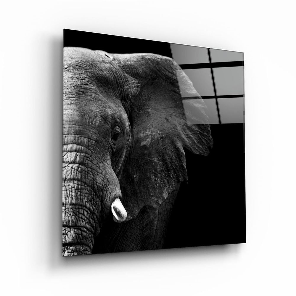 Other wall decoration - ・"Quay"・Glass Wall Art | Artdesigna Glass Printing Wall Arts. - ARTDESIGNA