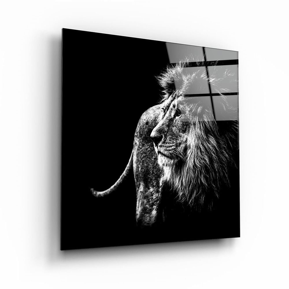Autres décorations murales - ・"Dolphin"・Glass Wall Art | Artdesigna Glass Printing Wall Arts. - ARTDESIGNA
