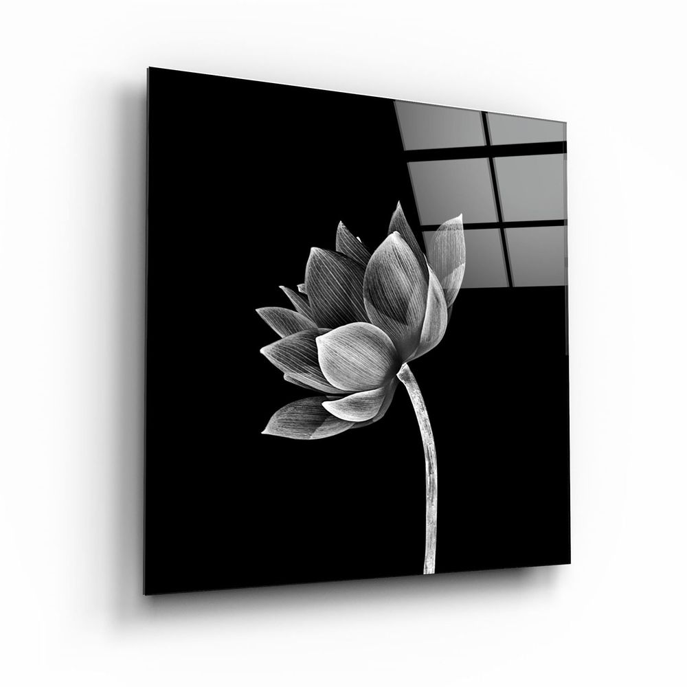Other wall decoration - ・"Colorful Feather"・Glass Wall Art | Artdesigna Glass Printing Wall Arts. - ARTDESIGNA