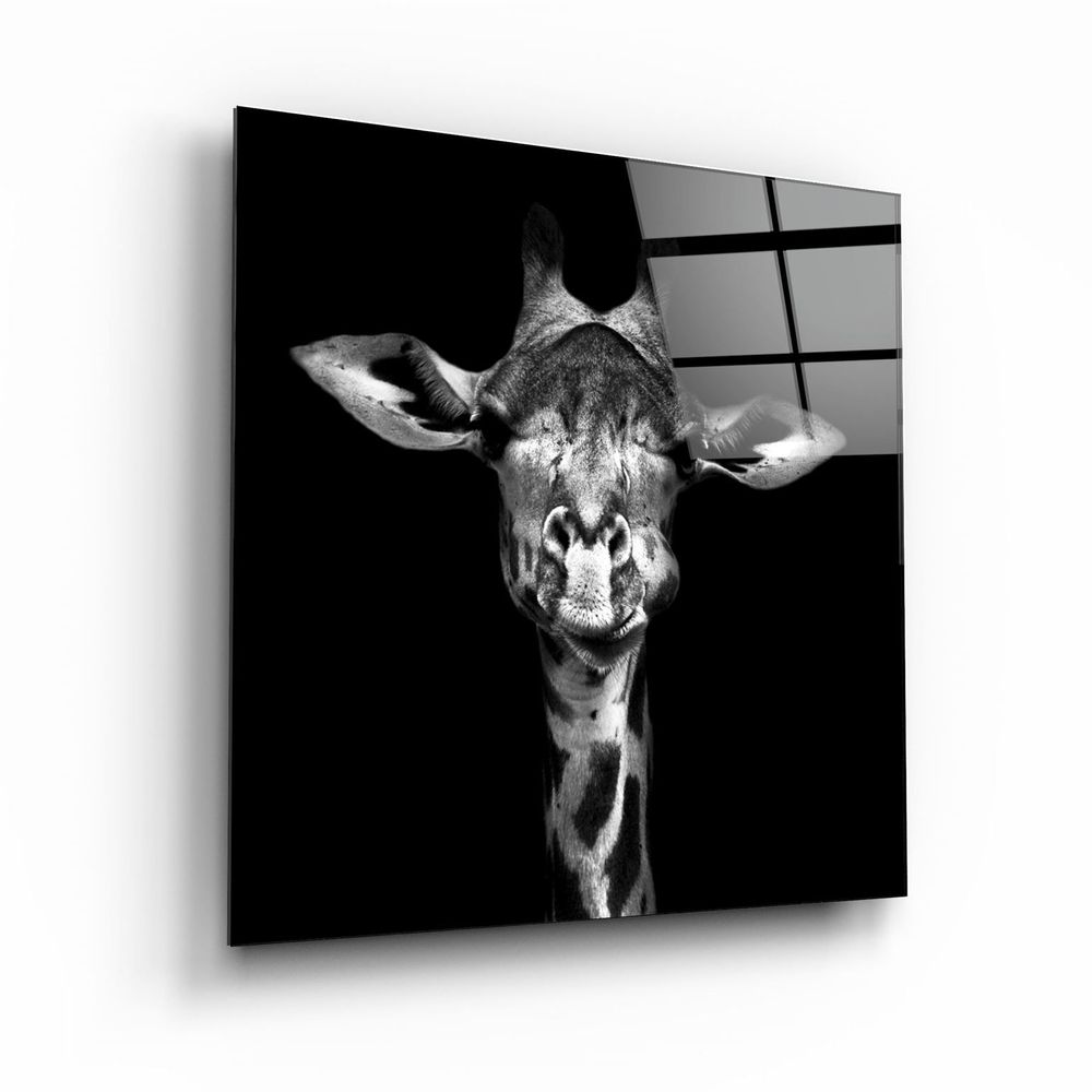 Other wall decoration - ・"Shark"・Glass Wall Art | Artdesigna Glass Printing Wall Arts. - ARTDESIGNA