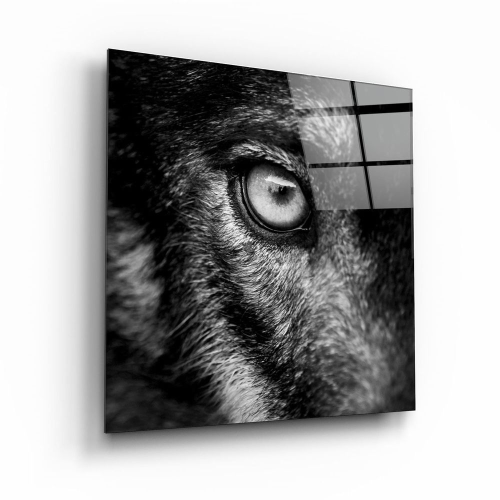 Other wall decoration - ・"Schwarz"・Glass Wall Art | Artdesigna Glass Printing Wall Arts. - ARTDESIGNA