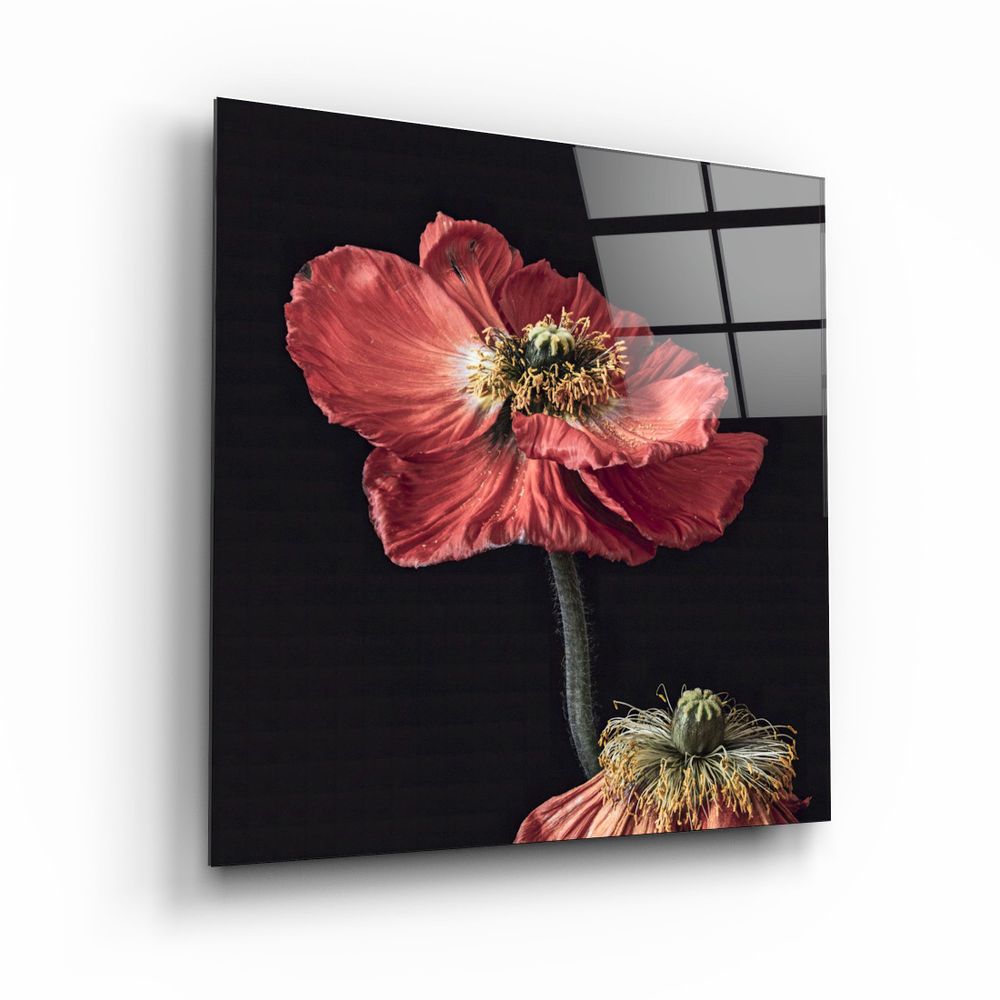 Other wall decoration - ・"Red Flowers"・Glass Wall Art | Artdesigna Glass Printing Wall Arts. - ARTDESIGNA