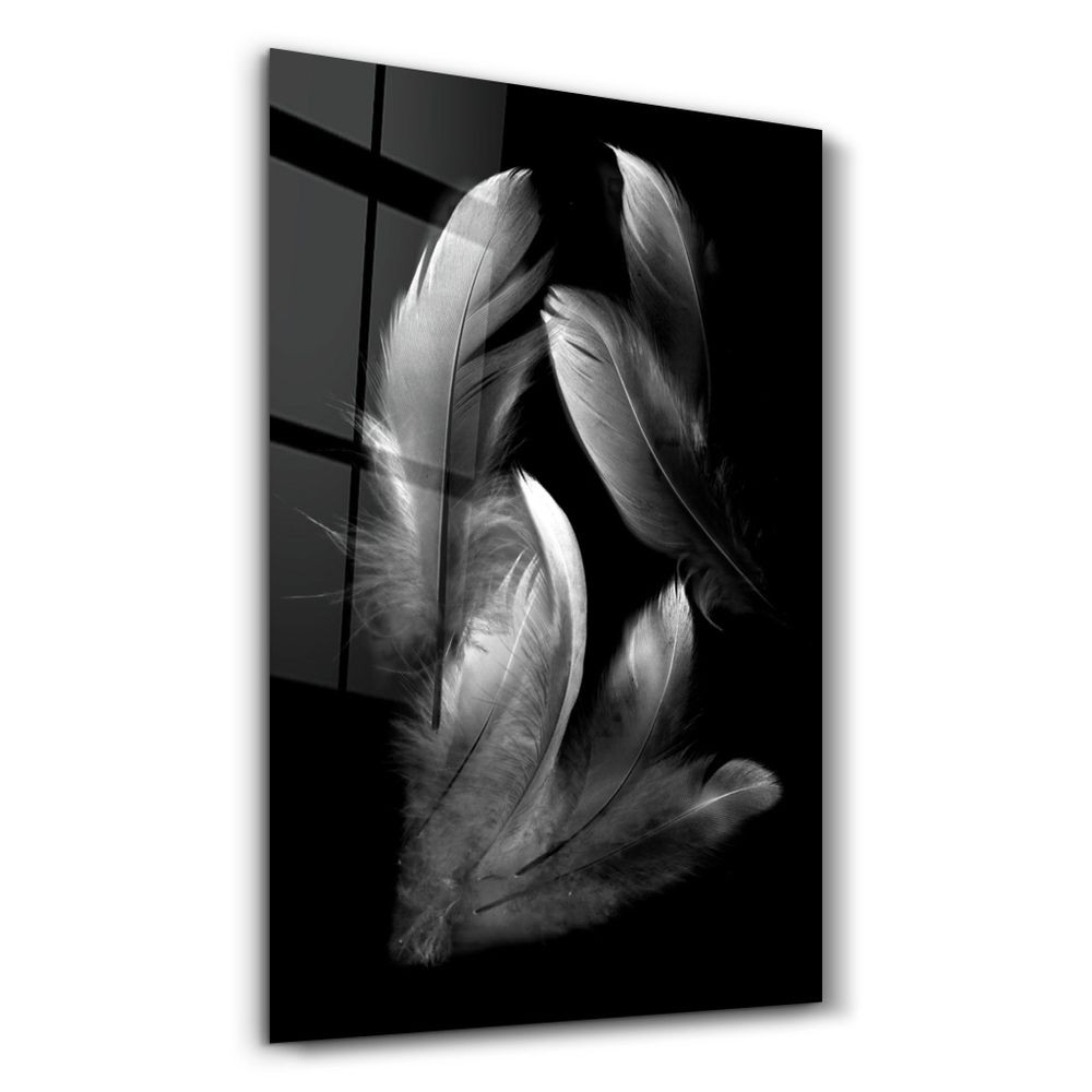 Autres décorations murales - White Feathers 1 | Glass Wall Art - ARTDESIGNA