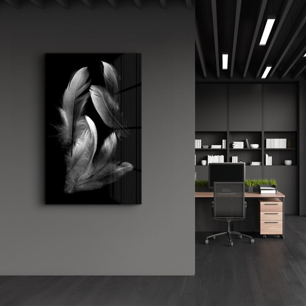 Autres décorations murales - White Feathers 1 | Glass Wall Art - ARTDESIGNA