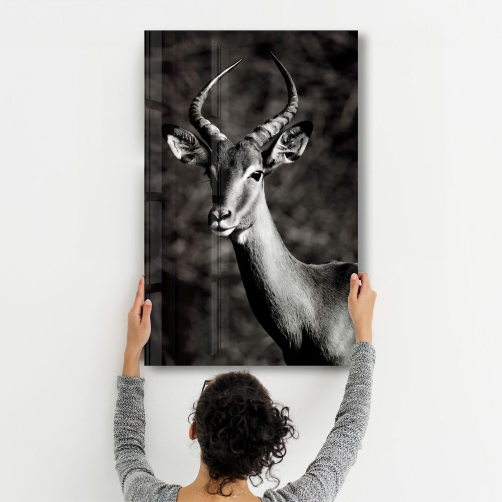 Other wall decoration - Antilope Black and White | Glass Wall Art - ARTDESIGNA