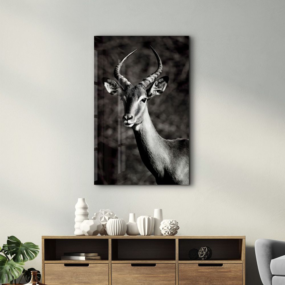 Other wall decoration - Antilope Black and White | Glass Wall Art - ARTDESIGNA