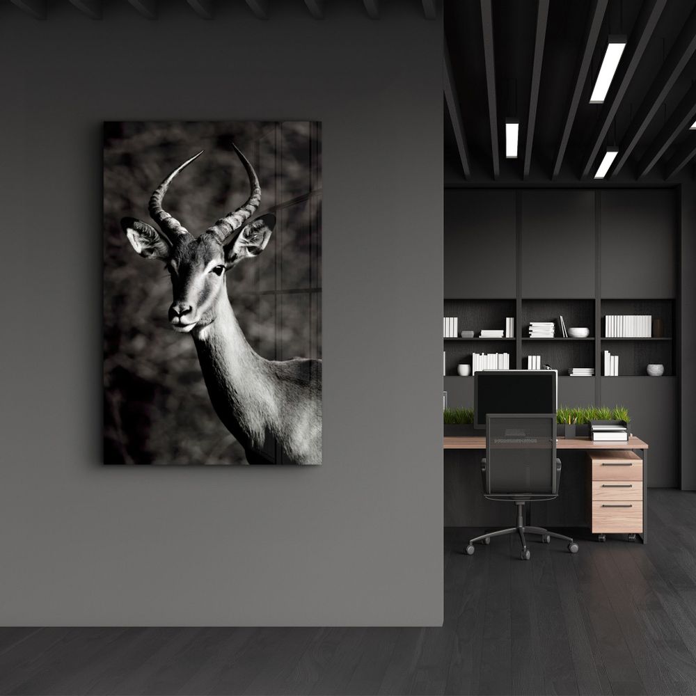 Other wall decoration - Antilope Black and White | Glass Wall Art - ARTDESIGNA