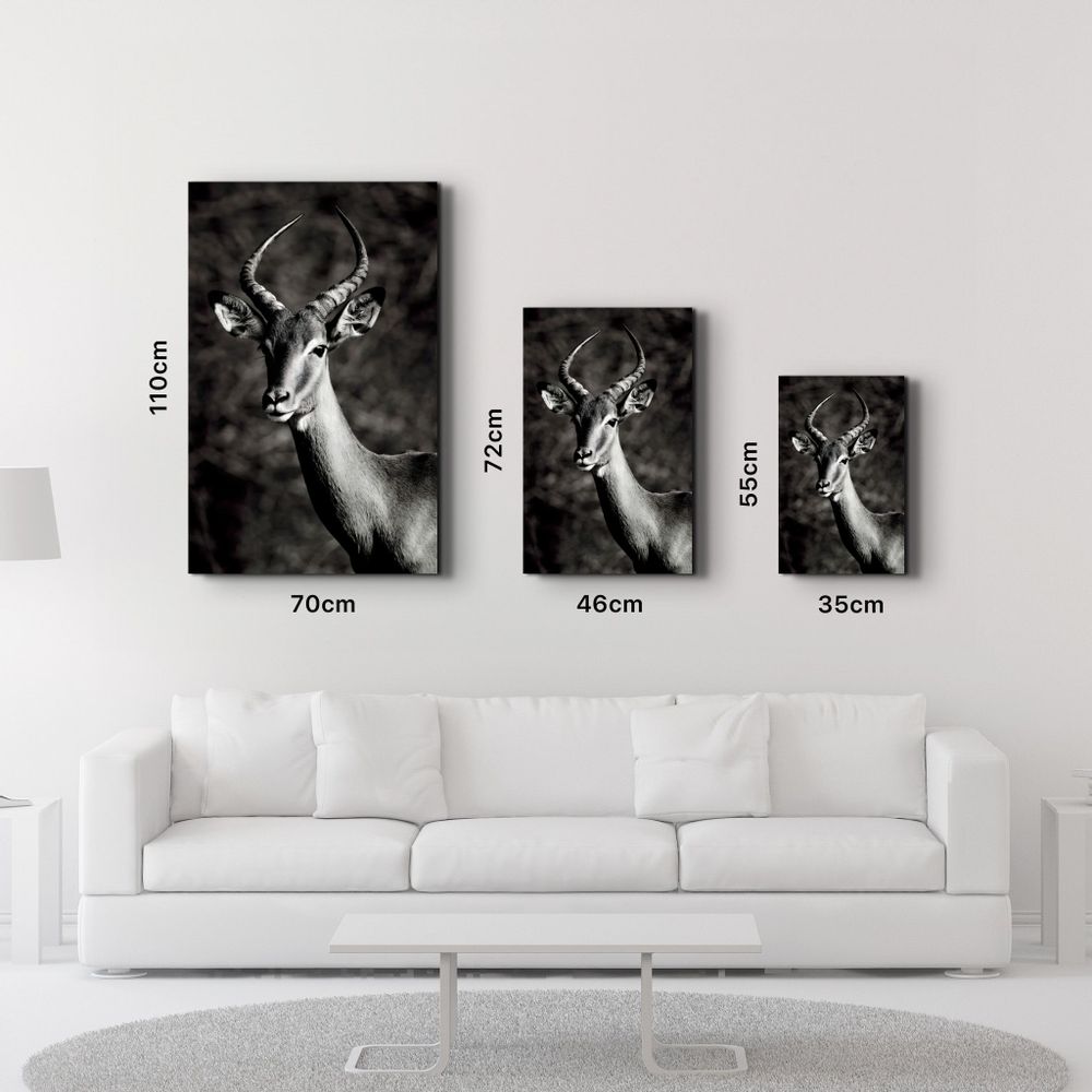 Other wall decoration - Antilope Black and White | Glass Wall Art - ARTDESIGNA