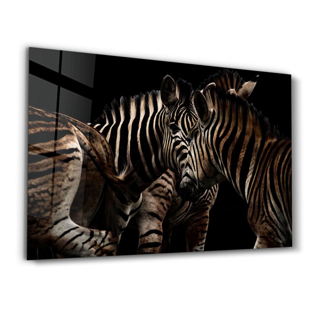 Other wall decoration - Zebra Family | Glass Wall Art - ARTDESIGNA