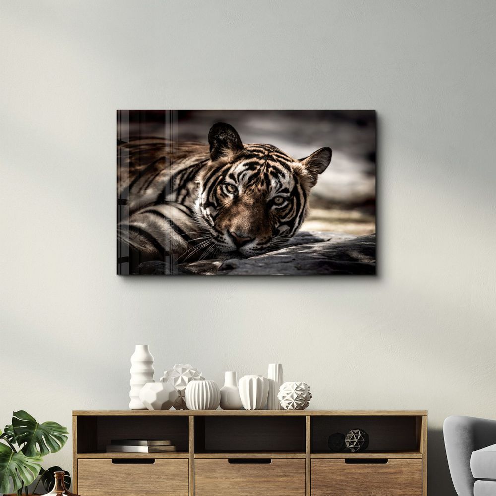 Other wall decoration - Tired Tiger | Glass Wall Art - ARTDESIGNA