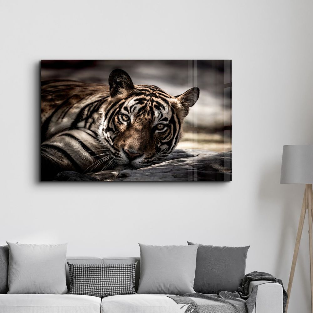 Other wall decoration - Tired Tiger | Glass Wall Art - ARTDESIGNA