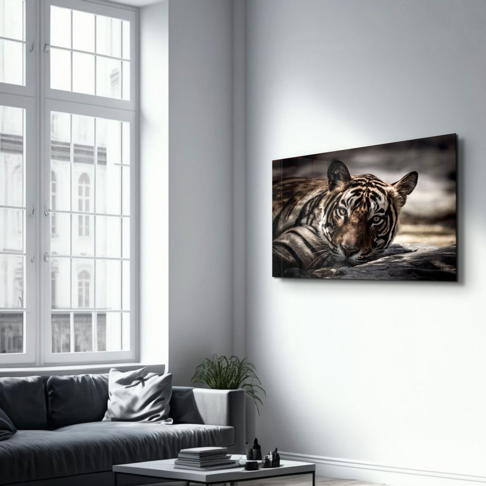 Other wall decoration - Tired Tiger | Glass Wall Art - ARTDESIGNA
