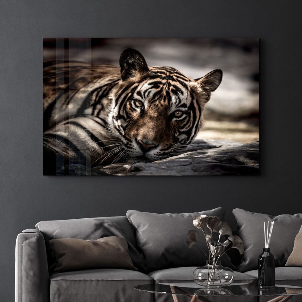 Other wall decoration - Tired Tiger | Glass Wall Art - ARTDESIGNA