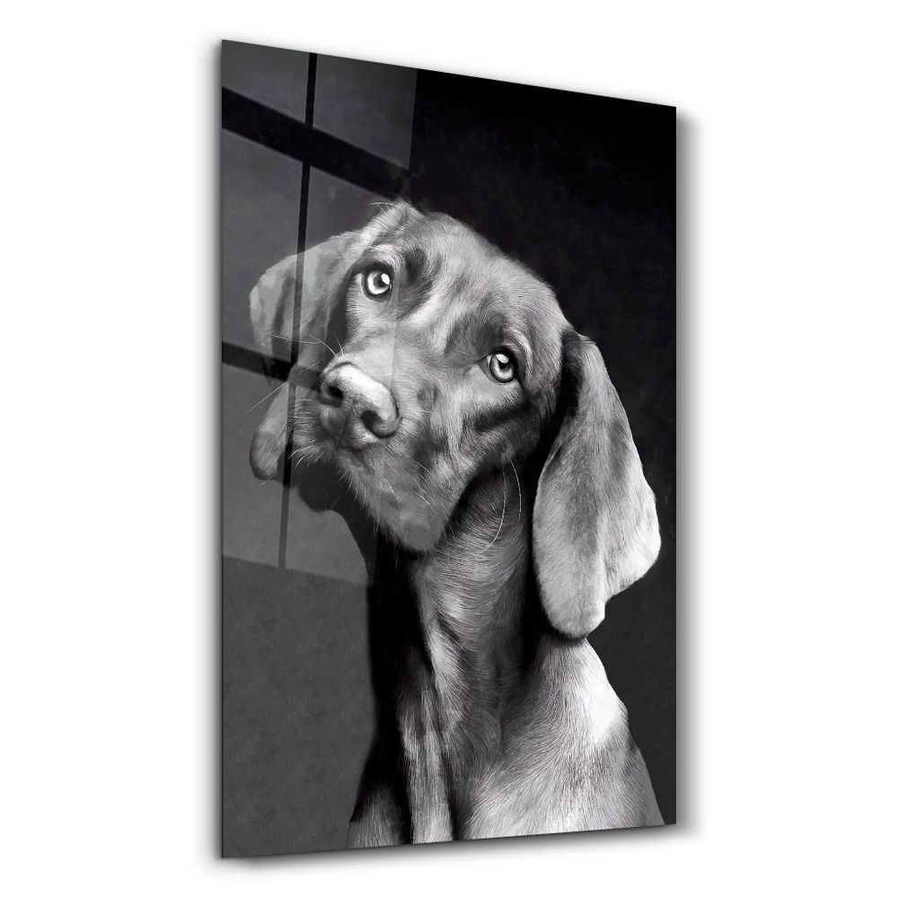 Other wall decoration - Innocent Dog | Glass Wall Art - ARTDESIGNA
