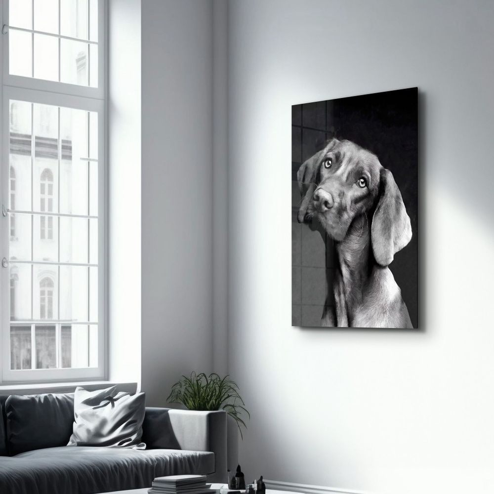 Other wall decoration - Innocent Dog | Glass Wall Art - ARTDESIGNA