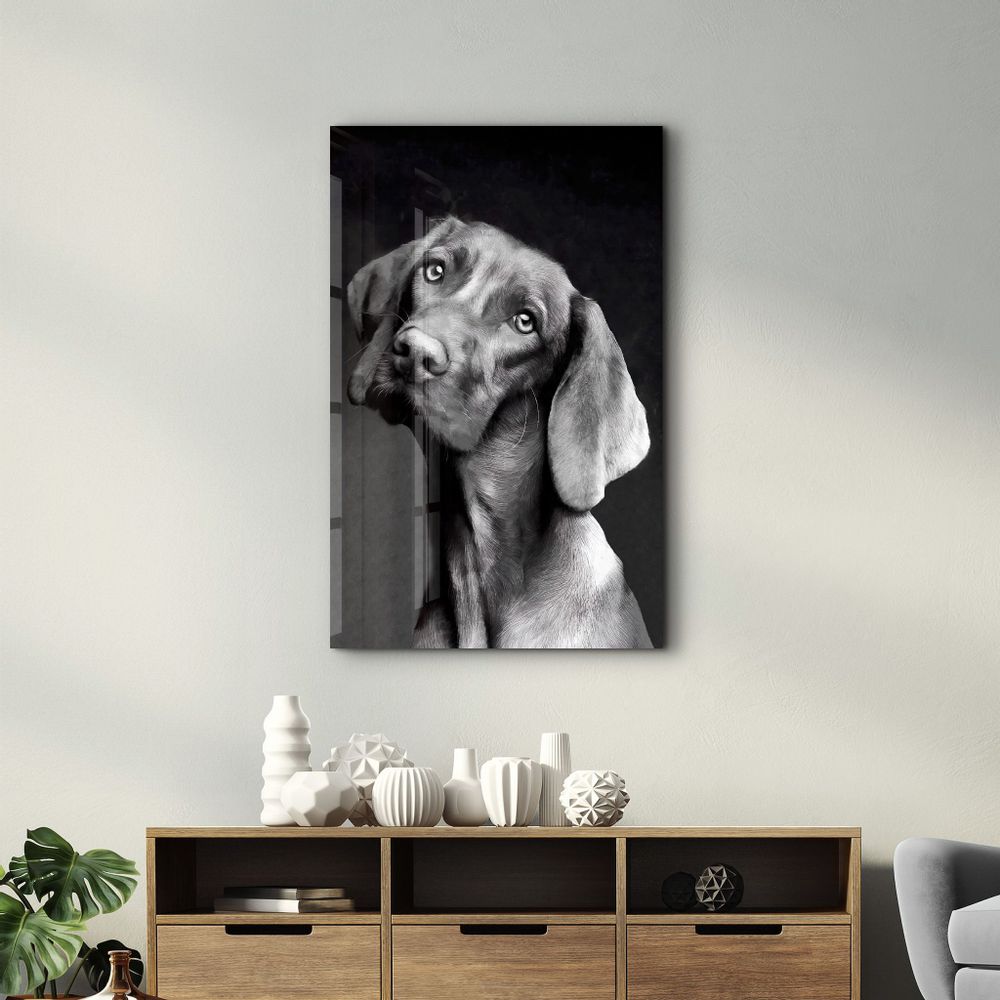 Other wall decoration - Innocent Dog | Glass Wall Art - ARTDESIGNA