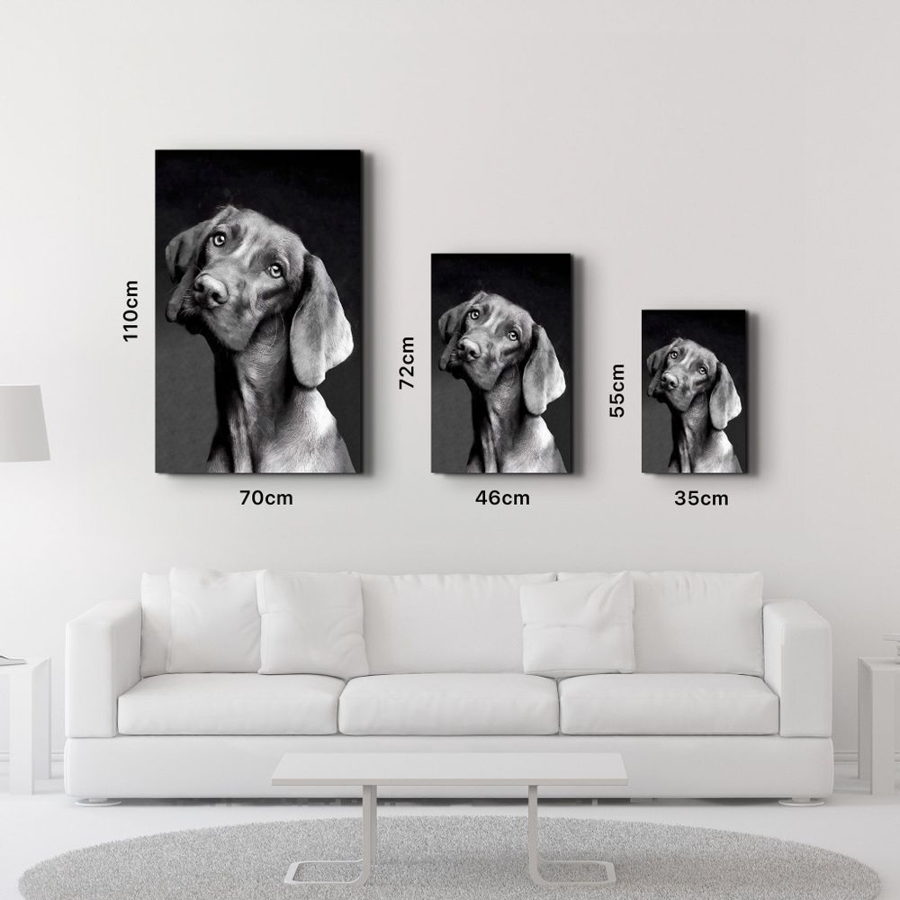 Other wall decoration - Innocent Dog | Glass Wall Art - ARTDESIGNA