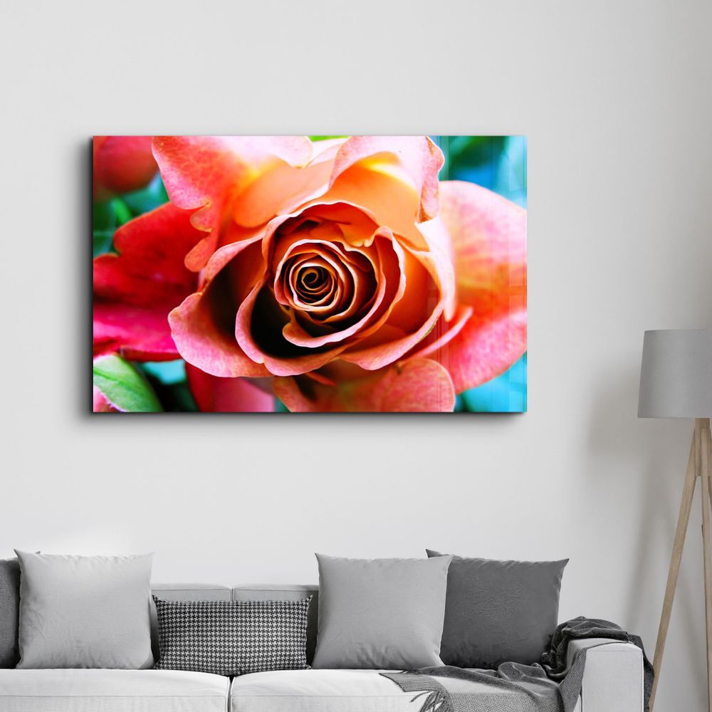 Other wall decoration - Floribunda Rose | Glass Wall Art - ARTDESIGNA