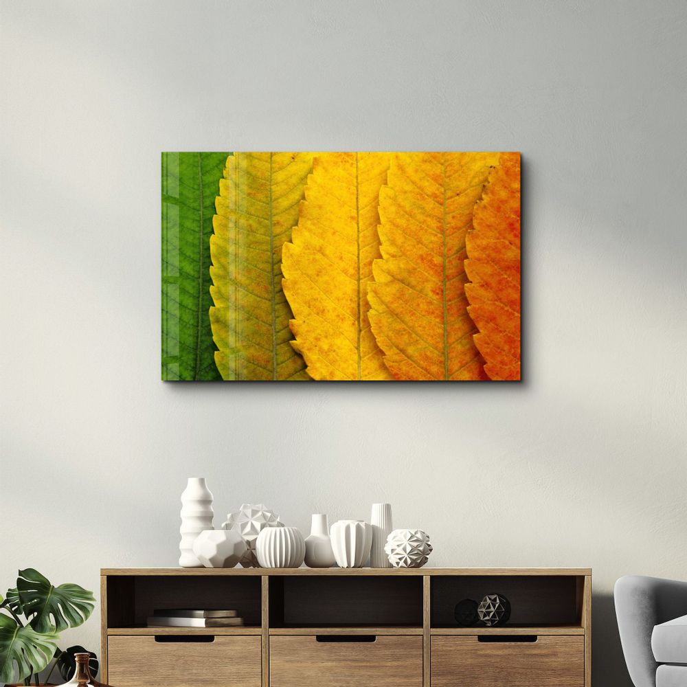 Other wall decoration - Depth Of Focus | Glass Wall Art - ARTDESIGNA