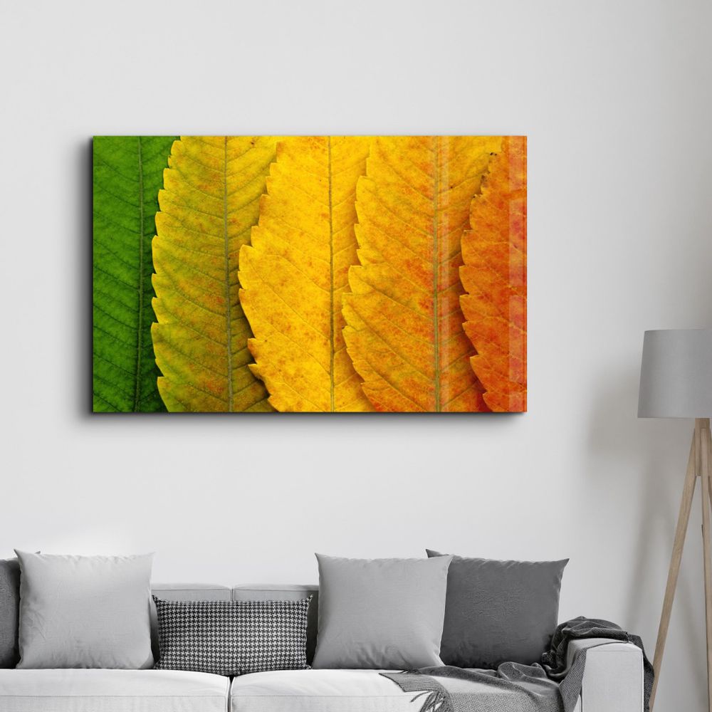 Other wall decoration - Depth Of Focus | Glass Wall Art - ARTDESIGNA