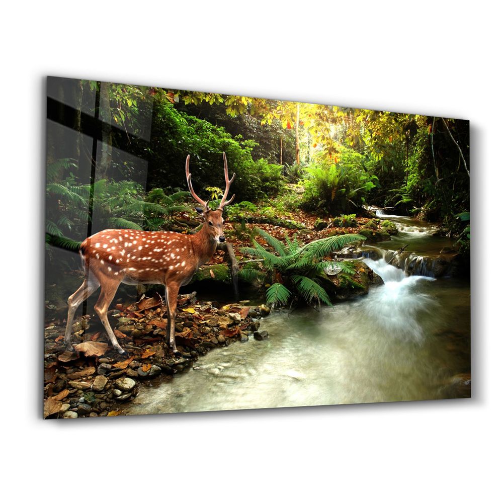 Other wall decoration - A Beauty In Nature | Glass Wall Art - ARTDESIGNA