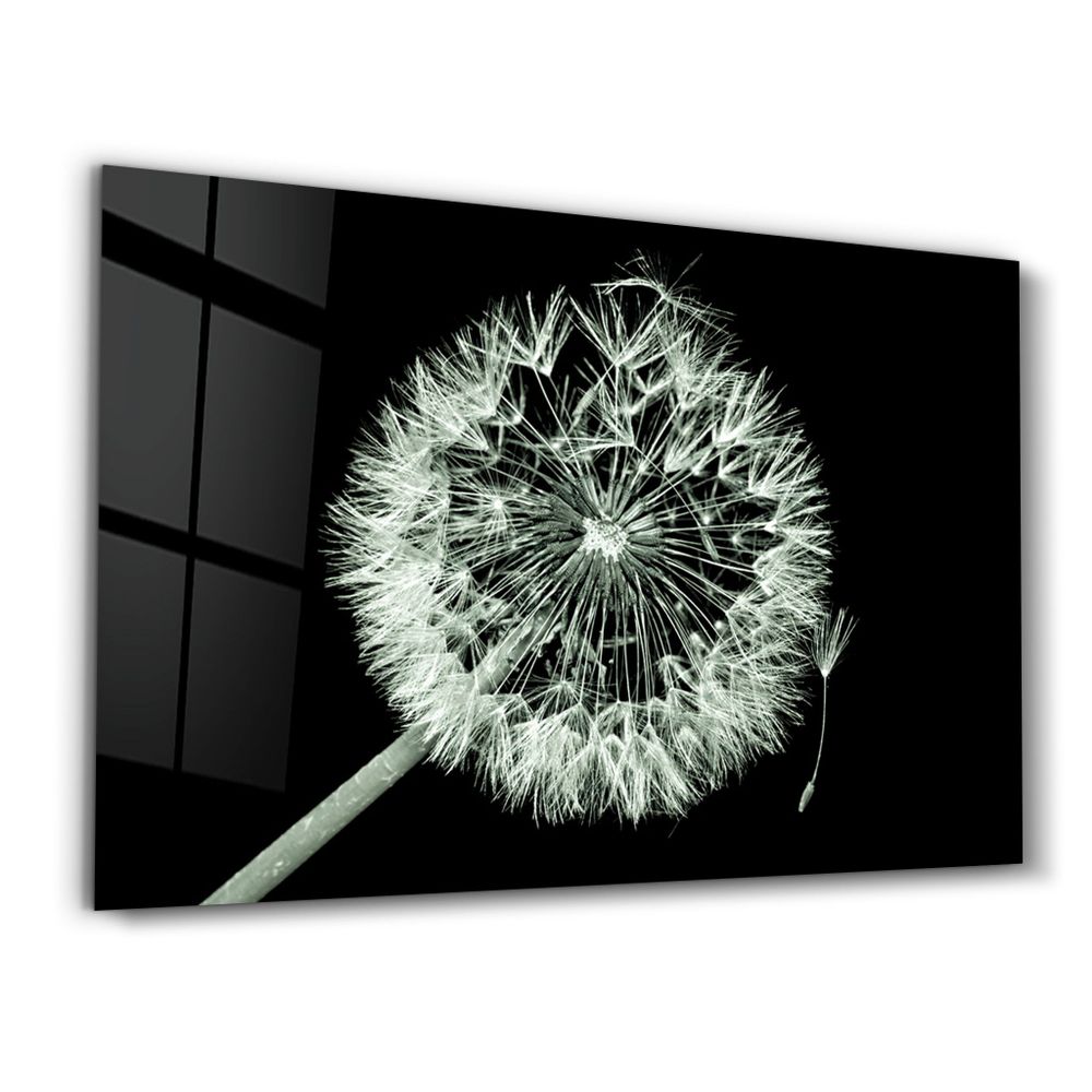 Other wall decoration - Falling Apart | Glass Wall Art - ARTDESIGNA