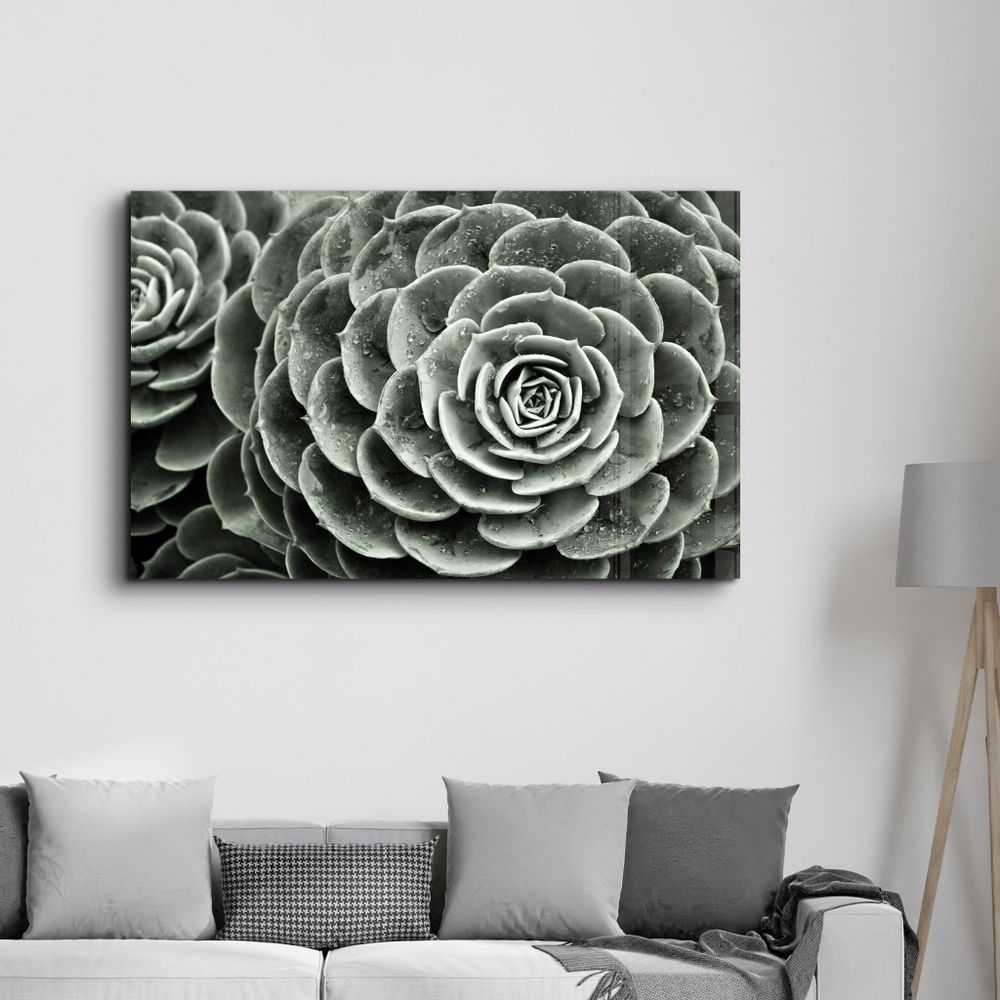 Autres décorations murales - Raindrops On Echeveria | Glass Wall Art - ARTDESIGNA